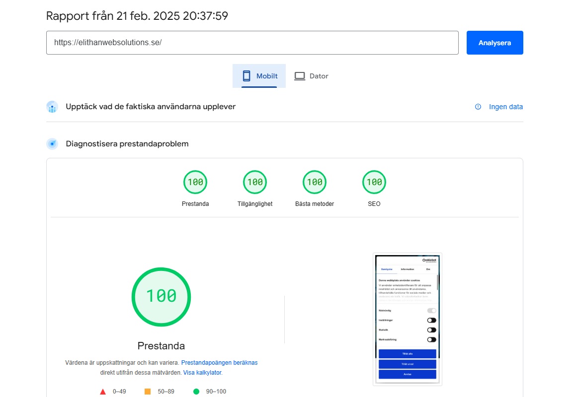 Snabb och optimera hemsida förbättrar din Google ranking 1 Snabb och optimerad hemsida till företag
